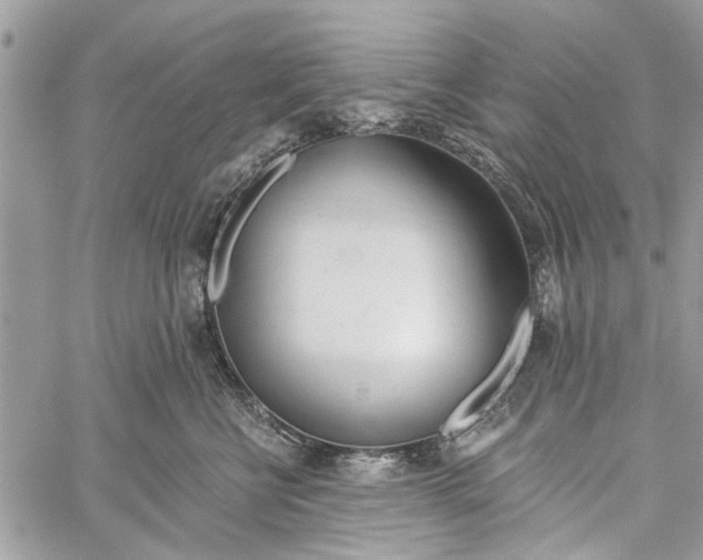 X0000060240570200511181306