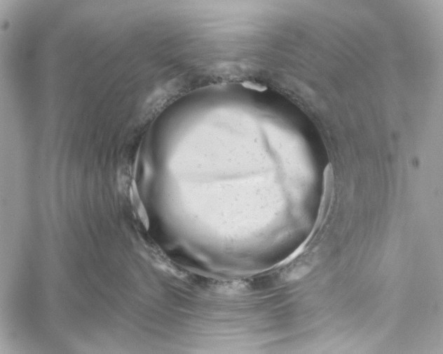 X0000060240576200511181306