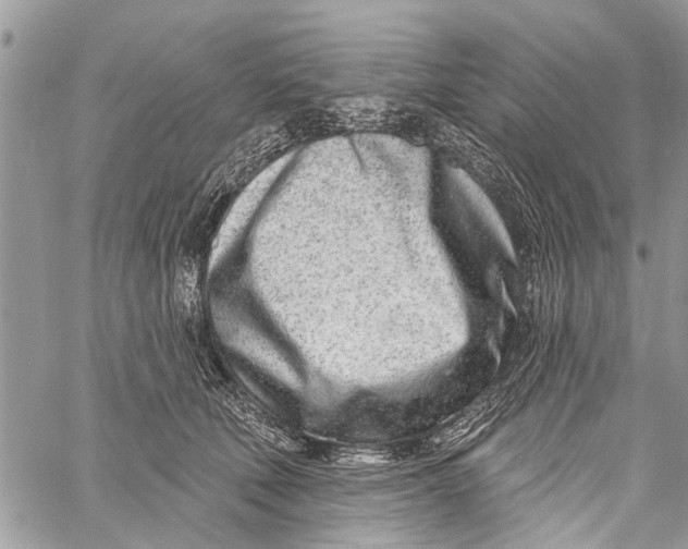X0000060240610200511181305