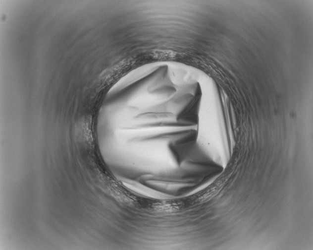 X0000060240616200511181305