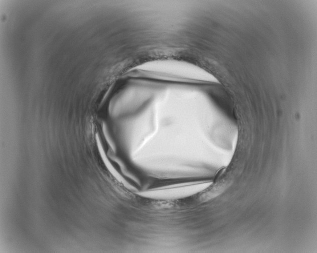 X0000060240624200511181305