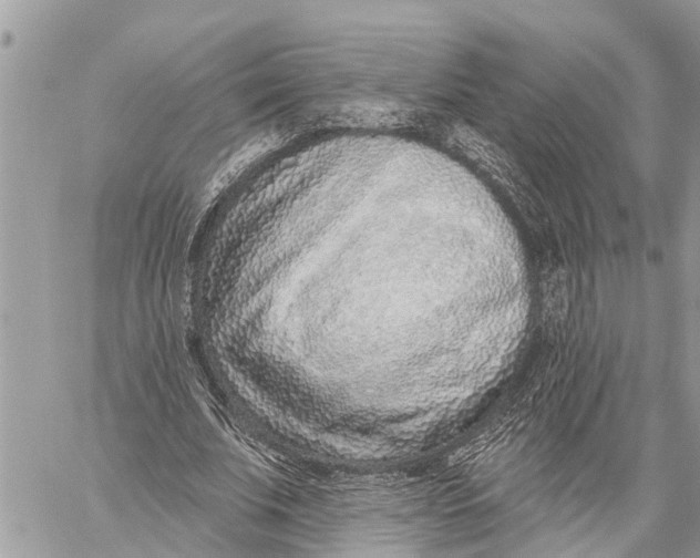 X0000060240679200511181304
