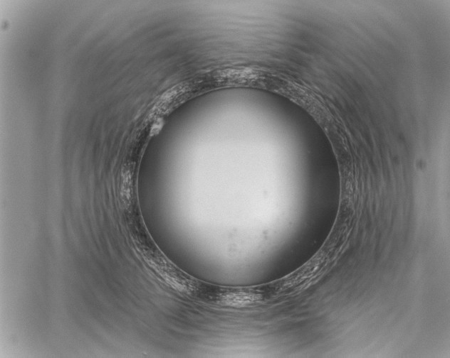 X0000060240708200511181303