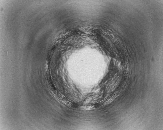 X0000060240711200511181303