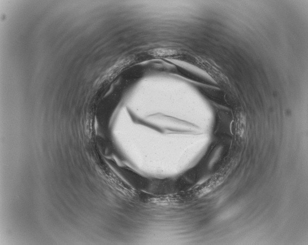 X0000060240763200511181303