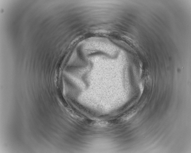 X0000060240767200511181303