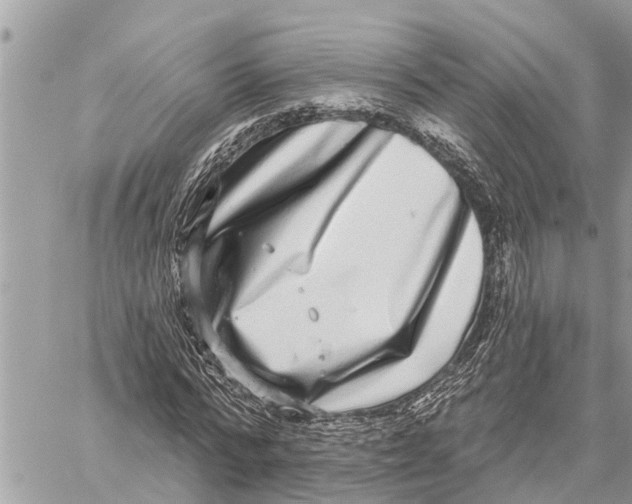 X0000060240776200511181302