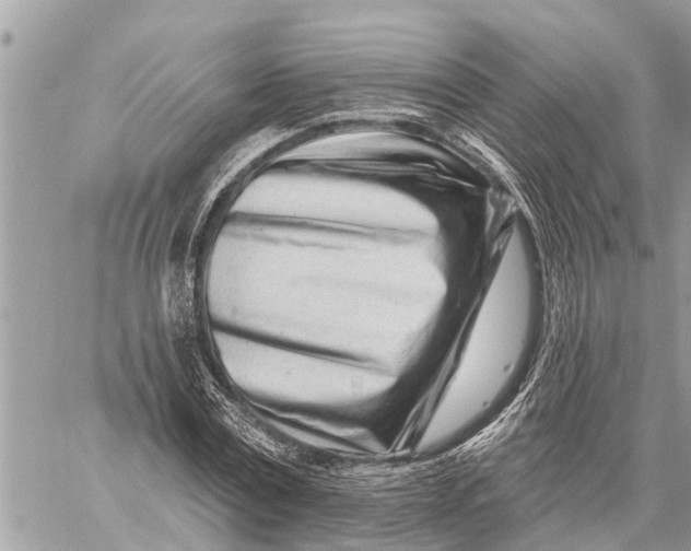 X0000060240779200511181302