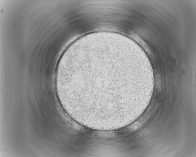 X0000060240856200511181302