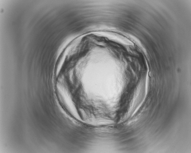 X0000060240863200511181302