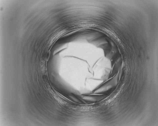 X0000060240889200511181301