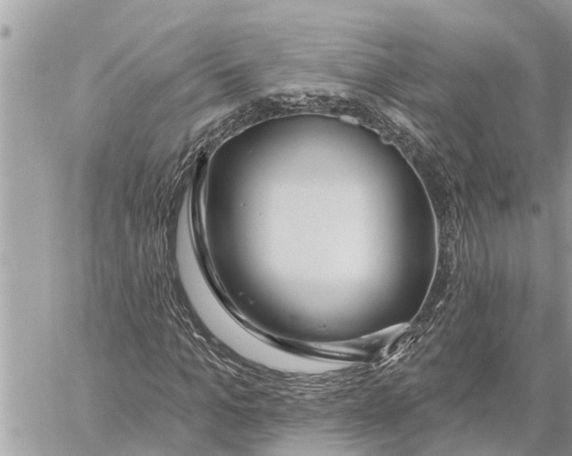X0000060240965200511181259