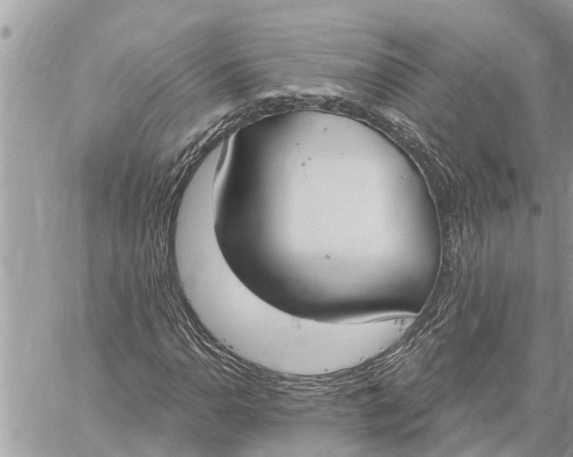 X0000060241110200511181256
