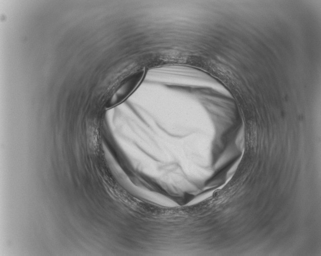 X0000060241154200511181256