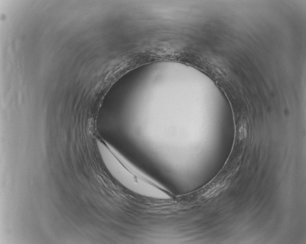 X0000060241156200511181256