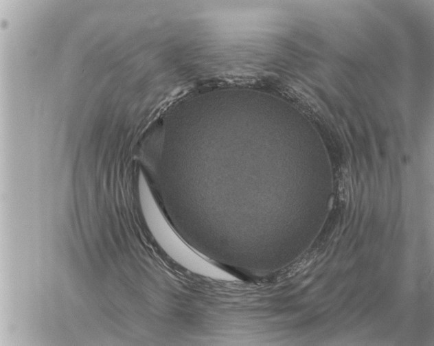 X0000060241298200511181253