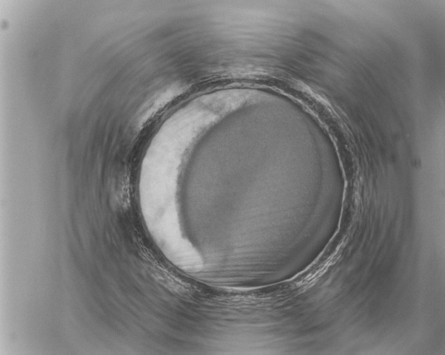 X0000060241306200511181253