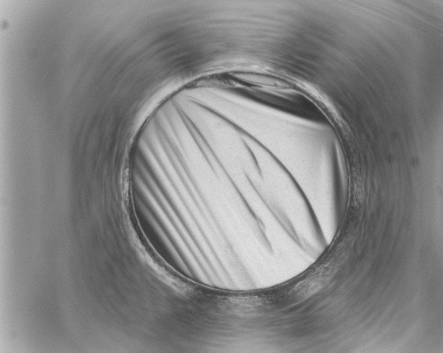 X0000060241383200511181252