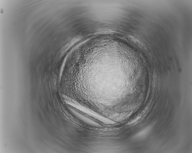 X0000060241401200511181252