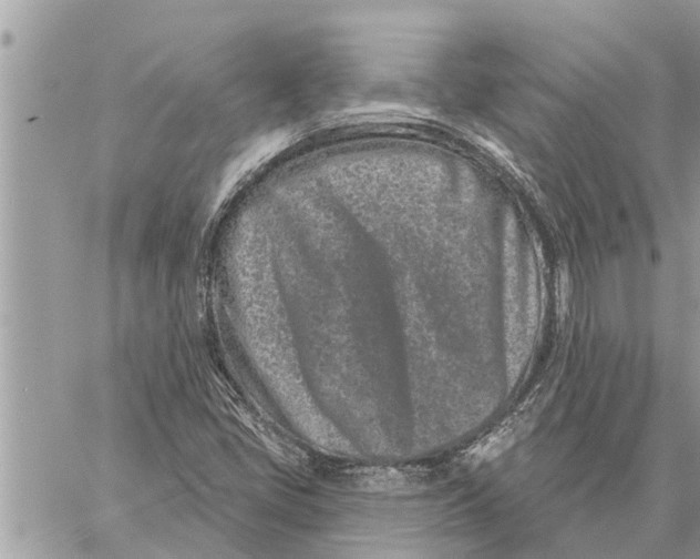X0000060241405200511181252