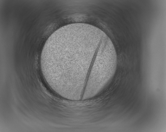 X0000060240018200511241346