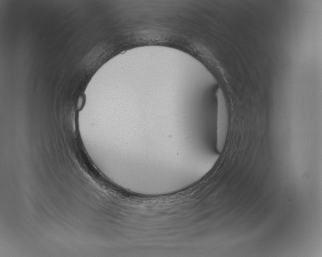 X0000060240021200511241345