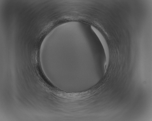 X0000060240023200511241345