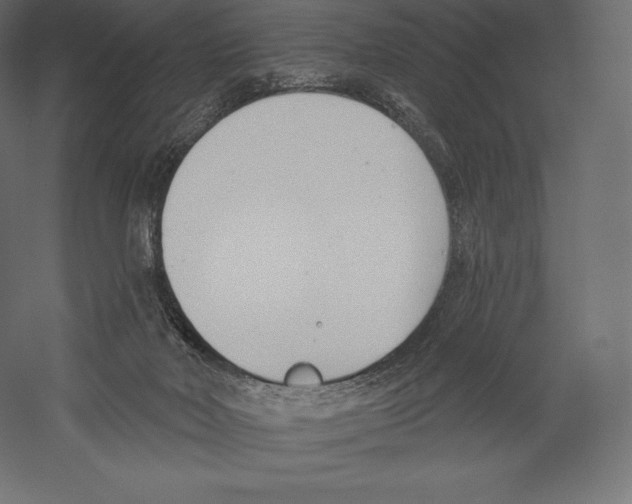 X0000060240026200511241345