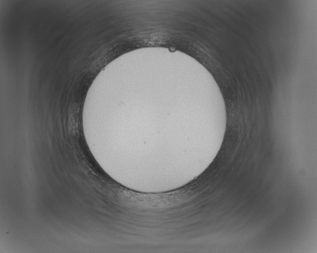 X0000060240030200511241345