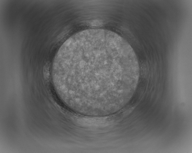 X0000060240032200511241345