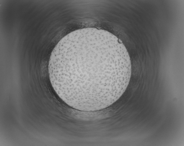 X0000060240034200511241345