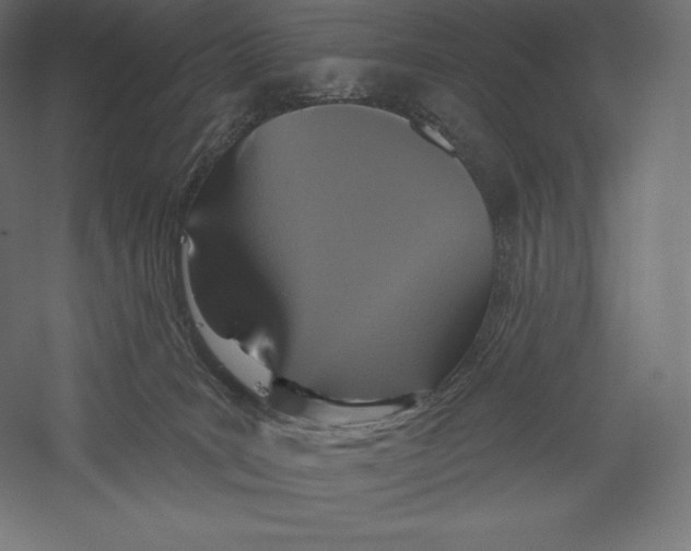 X0000060240035200511241345