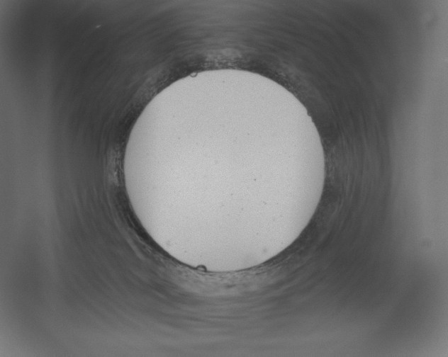 X0000060240038200511241345