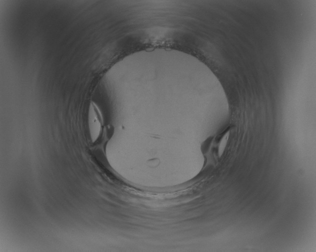 X0000060240039200511241345