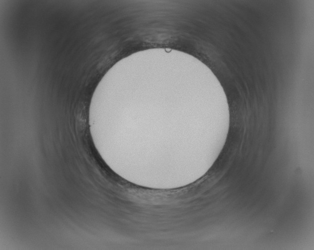 X0000060240040200511241345