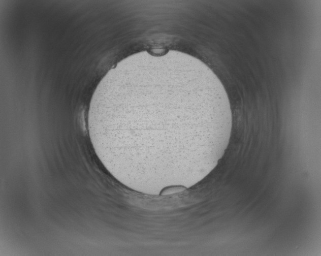 X0000060240042200511241345