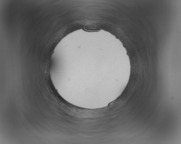 X0000060240044200511241345