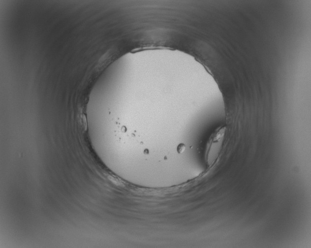 X0000060240045200511241345