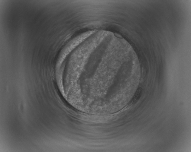 X0000060240048200511241345