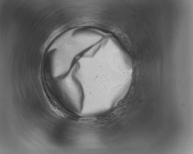 X0000060240051200511241344