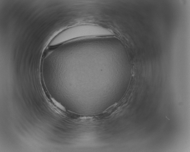 X0000060240052200511241344