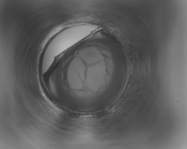 X0000060240054200511241344