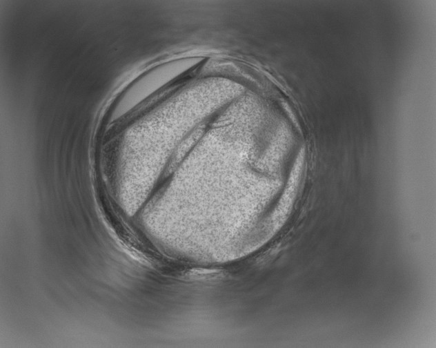 X0000060240055200511241344