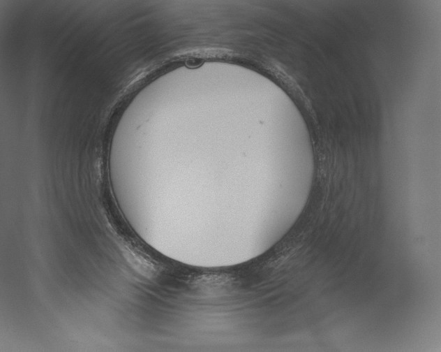 X0000060240063200511241344