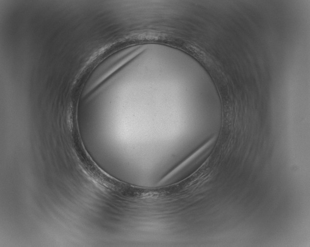 X0000060240064200511241344