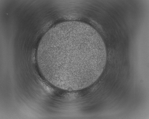 X0000060240065200511241344