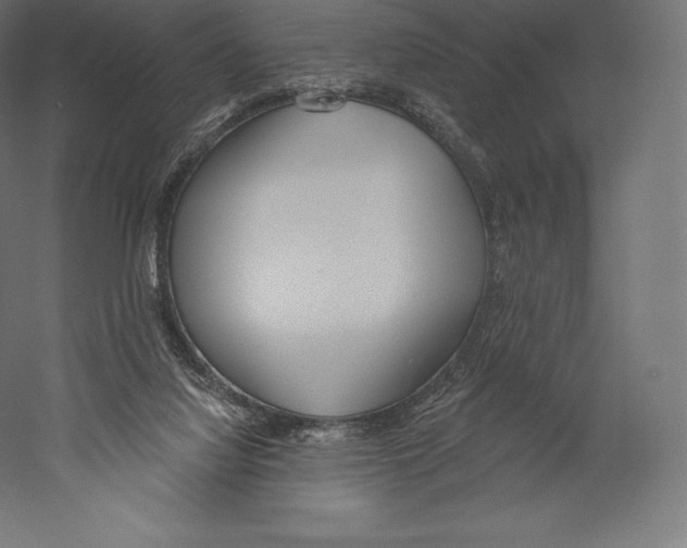 X0000060240068200511241345