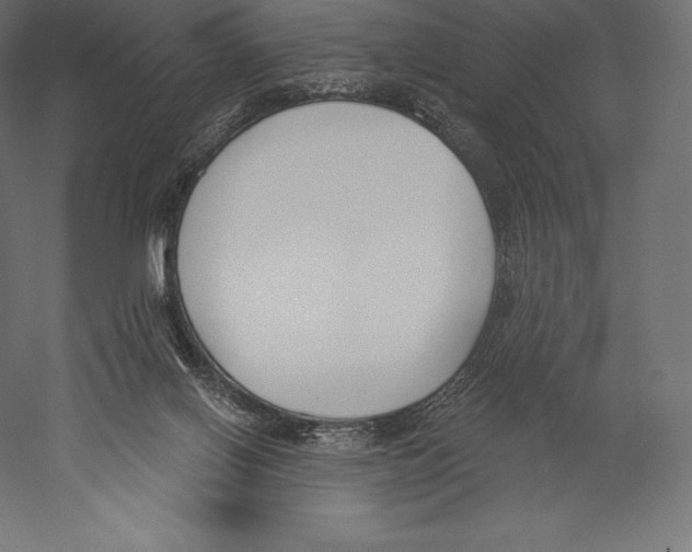 X0000060240070200511241345