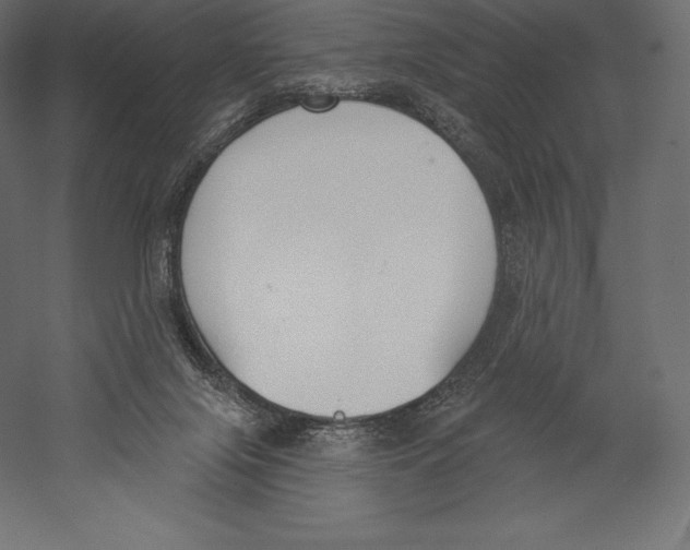 X0000060240071200511241345