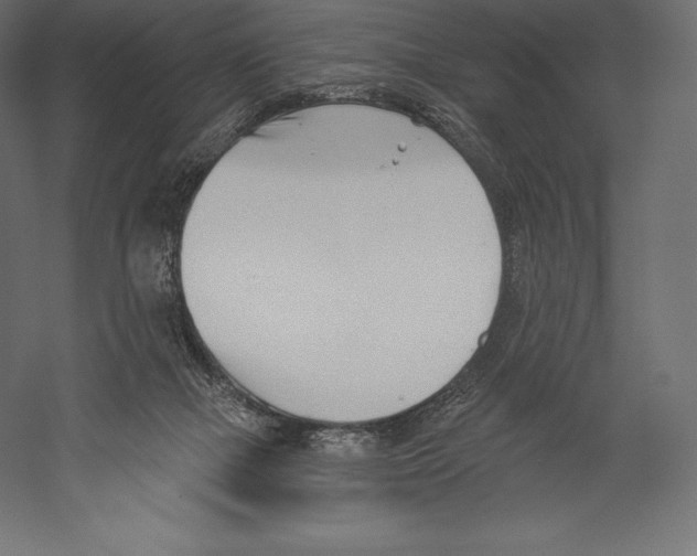 X0000060240073200511241345